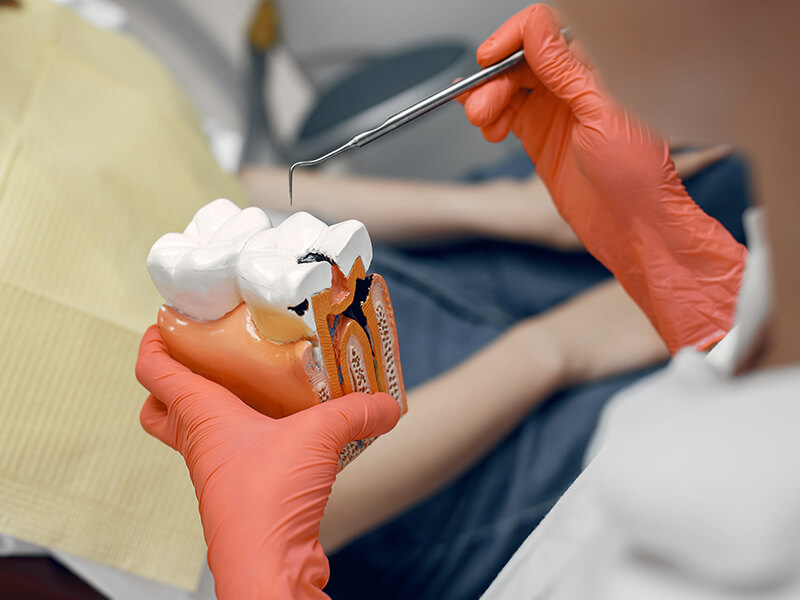 endodontia